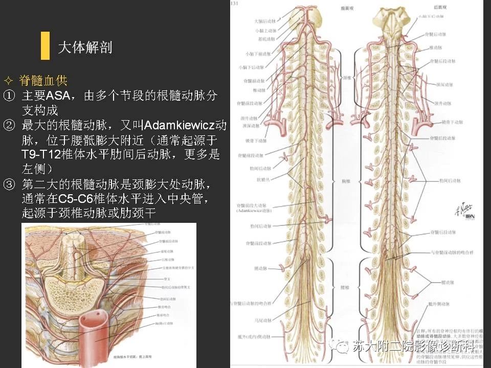 432988f59de70b282e283dae93d173e3.jpg
