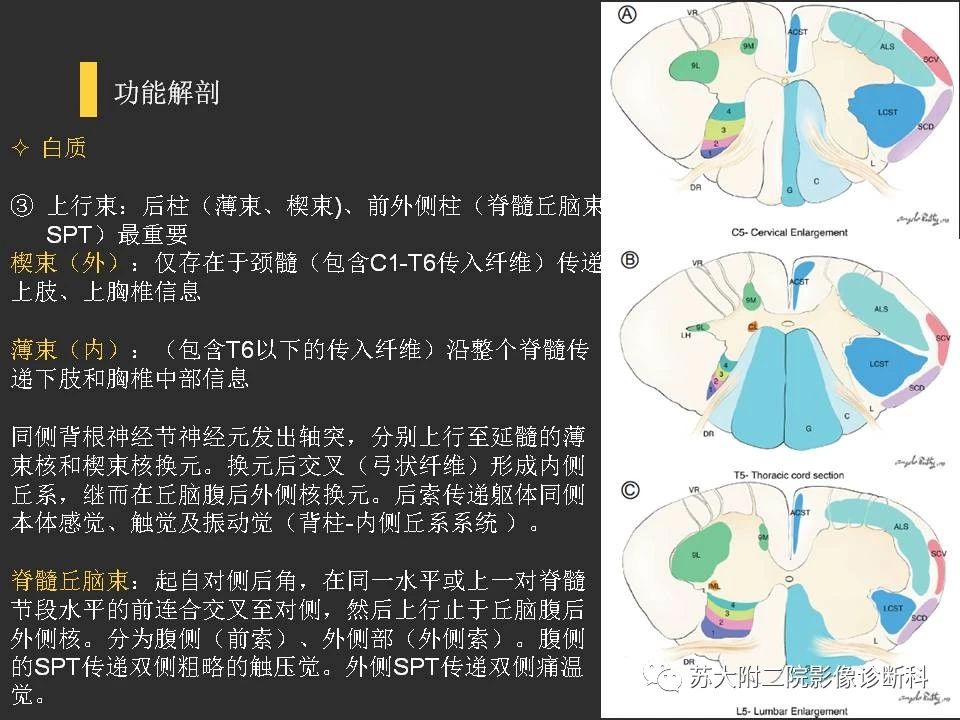 caf12b9cd1bbd210a3367ded956540a7.jpg