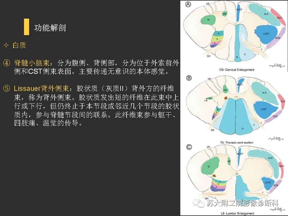 8cd9d9c02cf7a313f0adc757fdb33a5f.jpg