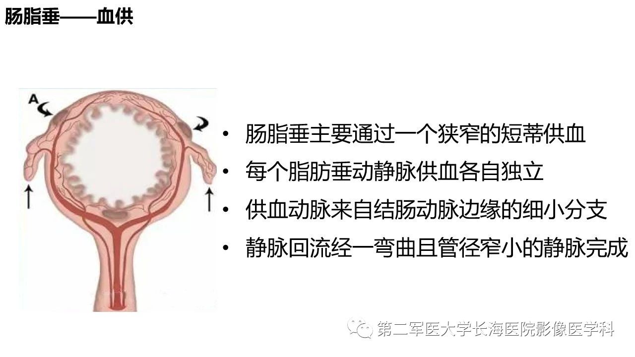 0bbac1e8ddaa61b7b890a5707b007cf8.jpg