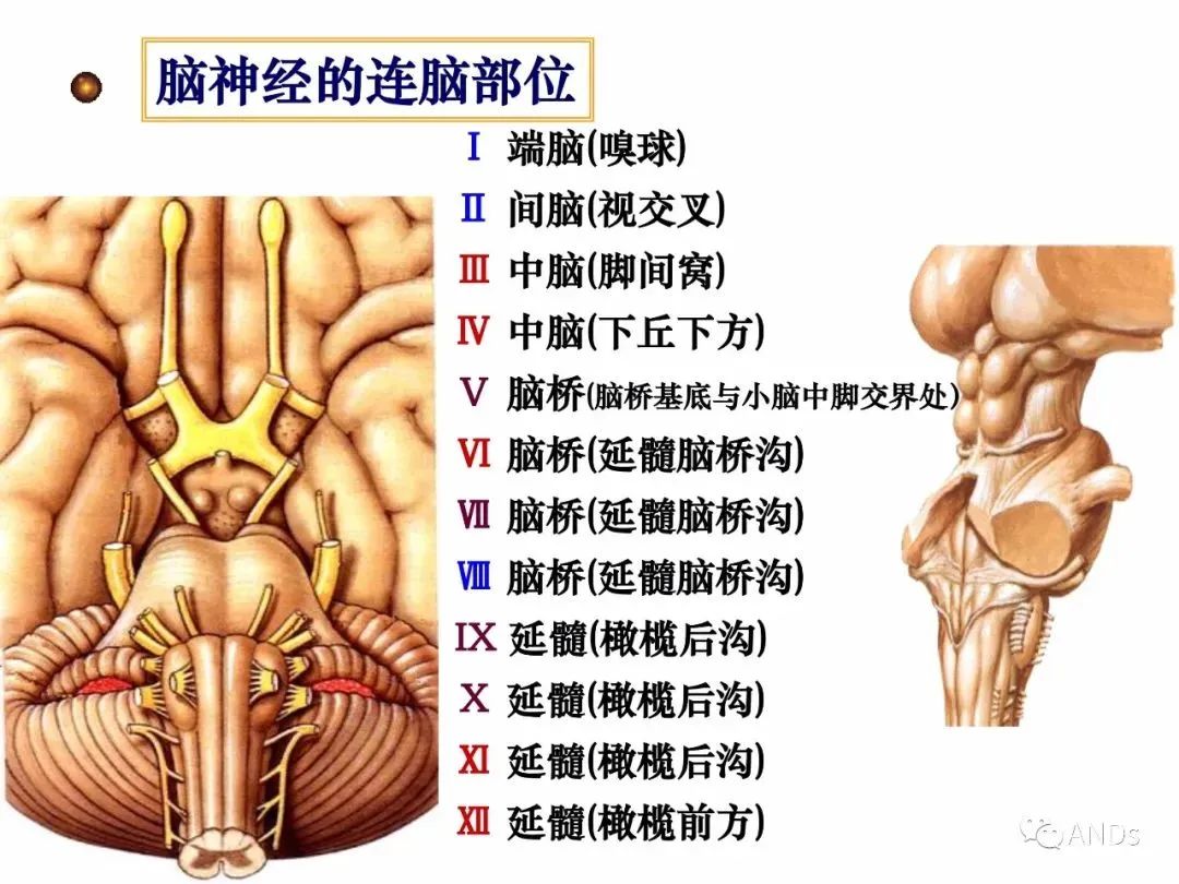 47a242ccb670e14abf624bff555ad1a1.jpg