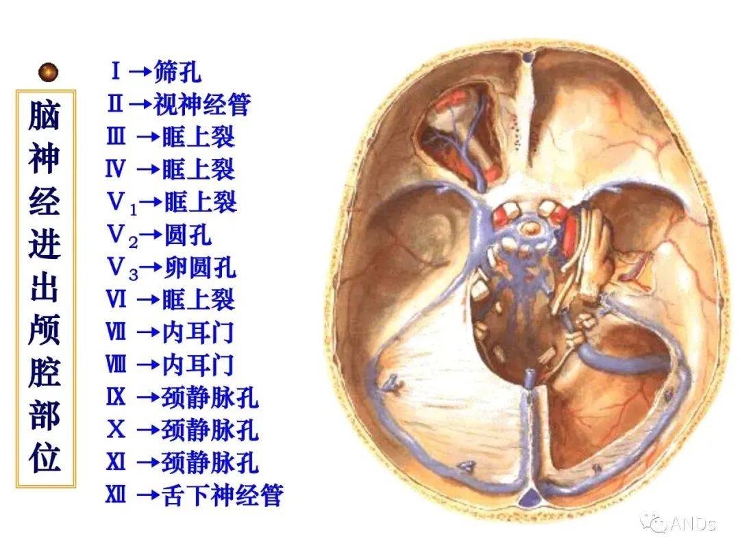 d669302dd7e31b89445cd2211d2fdc6a.jpg