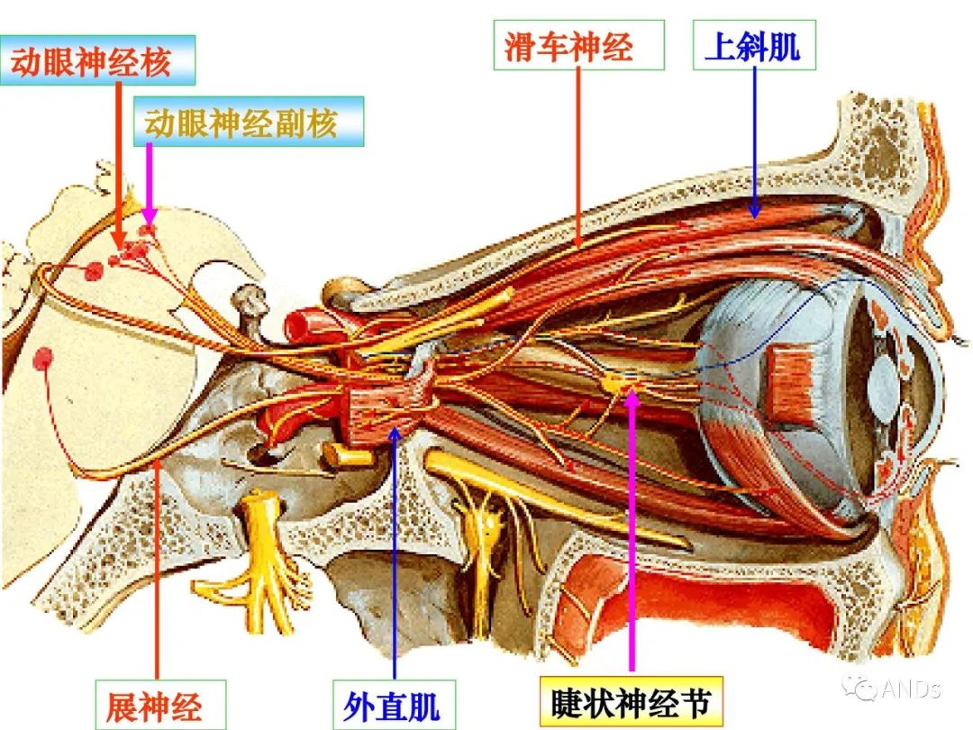5d573dd73eae07d52739e8d0cc2e8d17.jpg