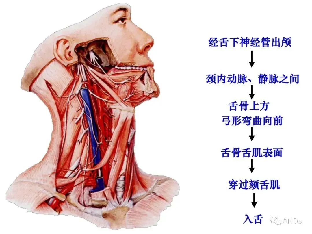 b22c0214479a1e9b900d170d01c797e4.jpg
