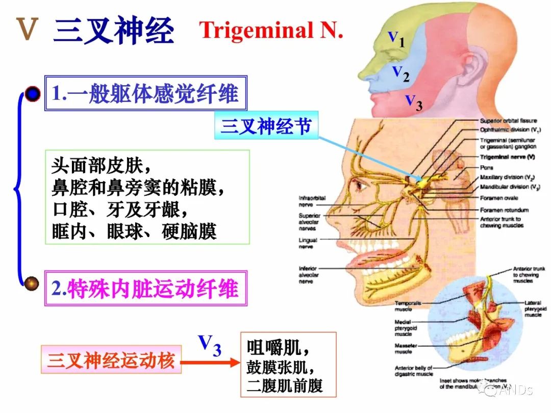 d87b4d6a2ceb3f37ed02fe2cc4842a78.jpg