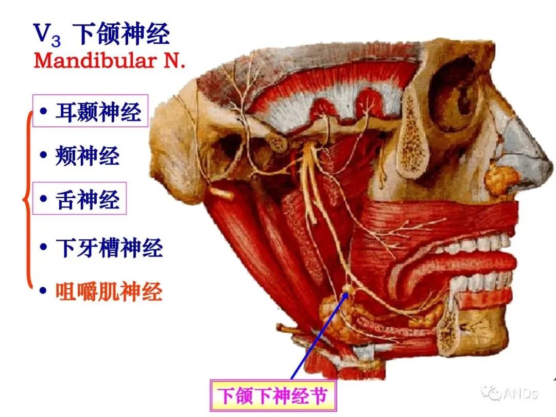 ed856d0967296e487866428363a5bd94.jpg