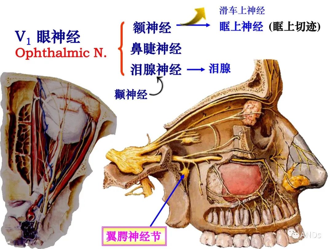 150cd9256cfb6a61f24054d1217d2096.jpg