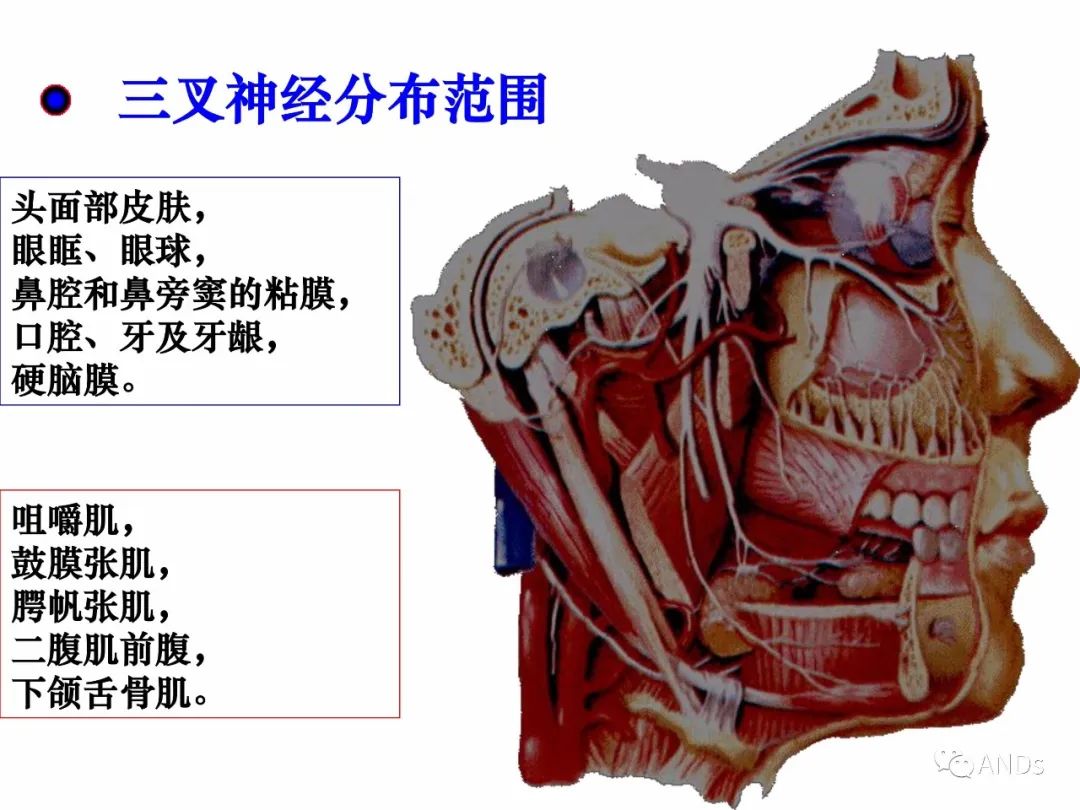 07fa9423eb13d450ef483f7ebe660b07.jpg