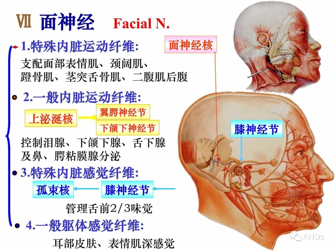 276cfd4fb4f9b6e2c53cf485d50afb91.jpg