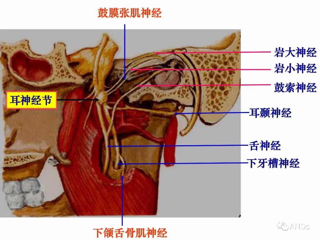 3db3279e0785cac995af90958b4f7984.jpg