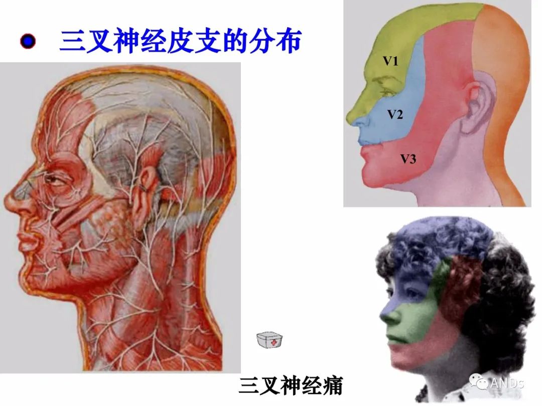845d8a22a3f8a3d69284edd561a6f616.jpg
