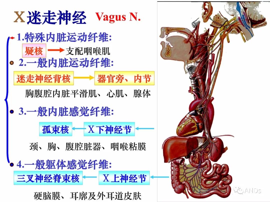 e4372762d38ad13a54347a7f90453b59.jpg