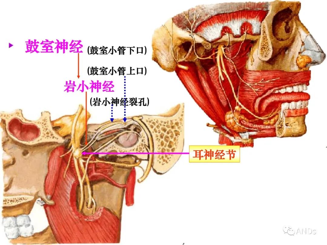 6f76d21b07f445662584265d0c62e905.jpg