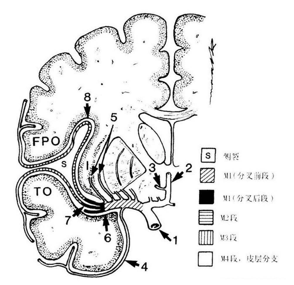 2a665d44bb6e76deb934a38e05d98ee5.png