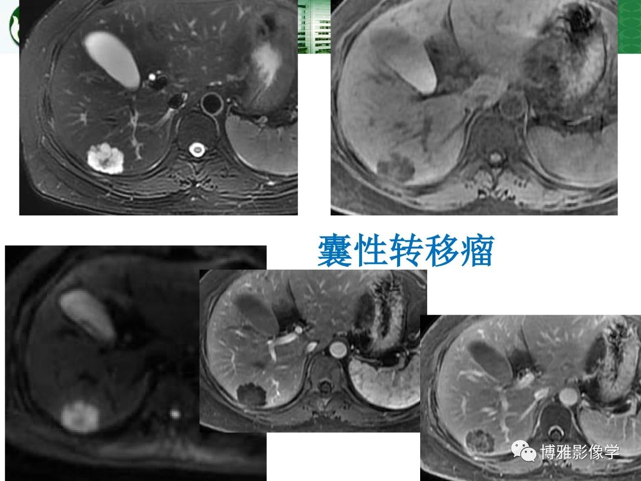 bd60588409c1a861cf2622bf950dc12d.jpg