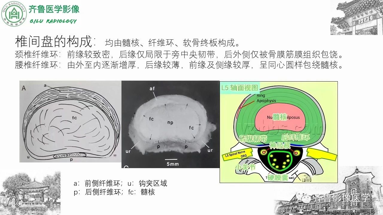 51fd644abac28357a187db5fef810a01.jpg