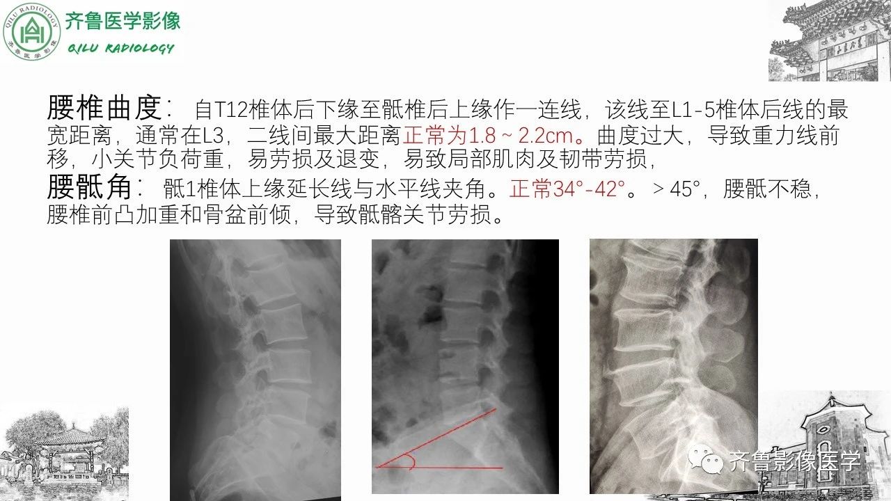 064cc03476d67fbad5314f8865461ea0.jpg
