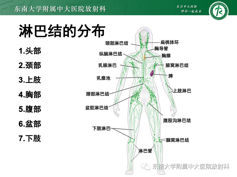 b777007d43714f35c6dc934ee3100210.png