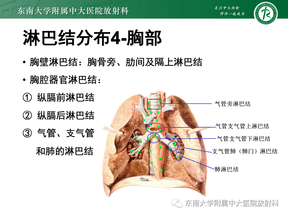 7d91f4ccd3a737a85f0a60e05e2781d0.png