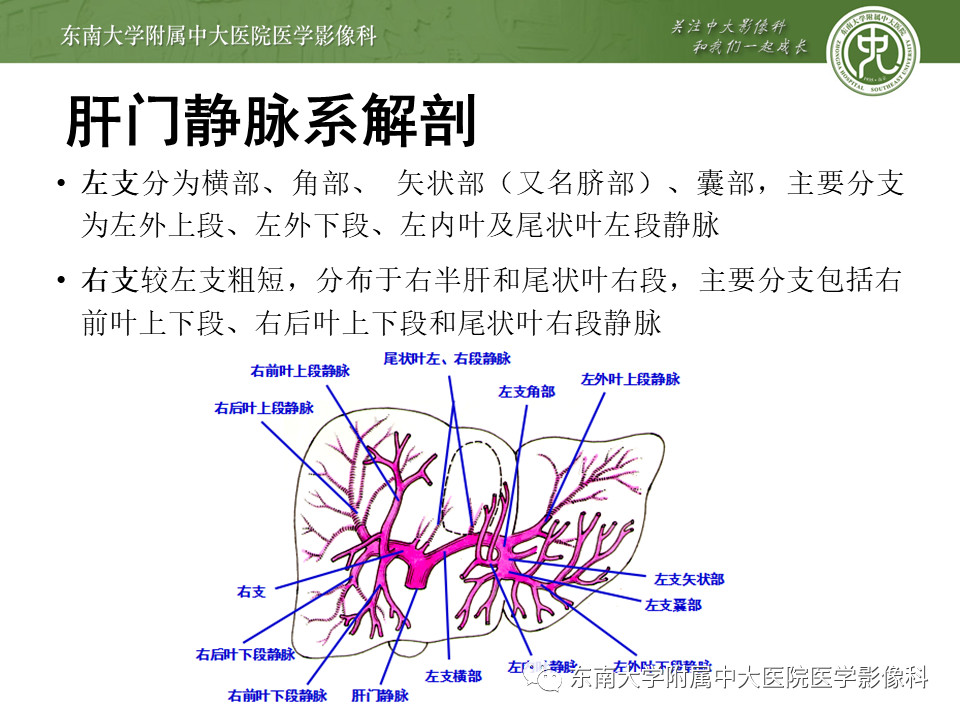 cf40abc9e2f2201da9278fac50289a52.jpg