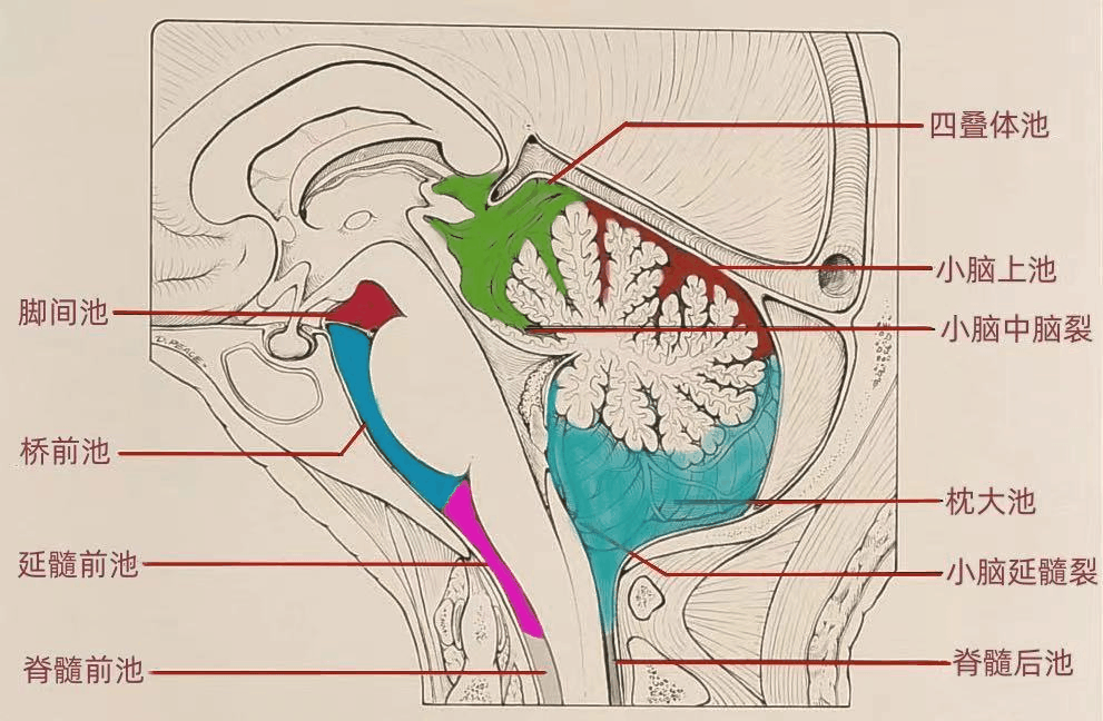 2e1f9626b282df08d3b8ddc5304b119d.gif