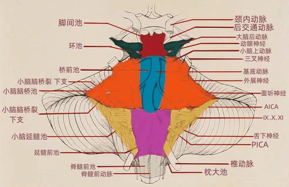 066f857b064d32ddab21173b72b59eb1.gif