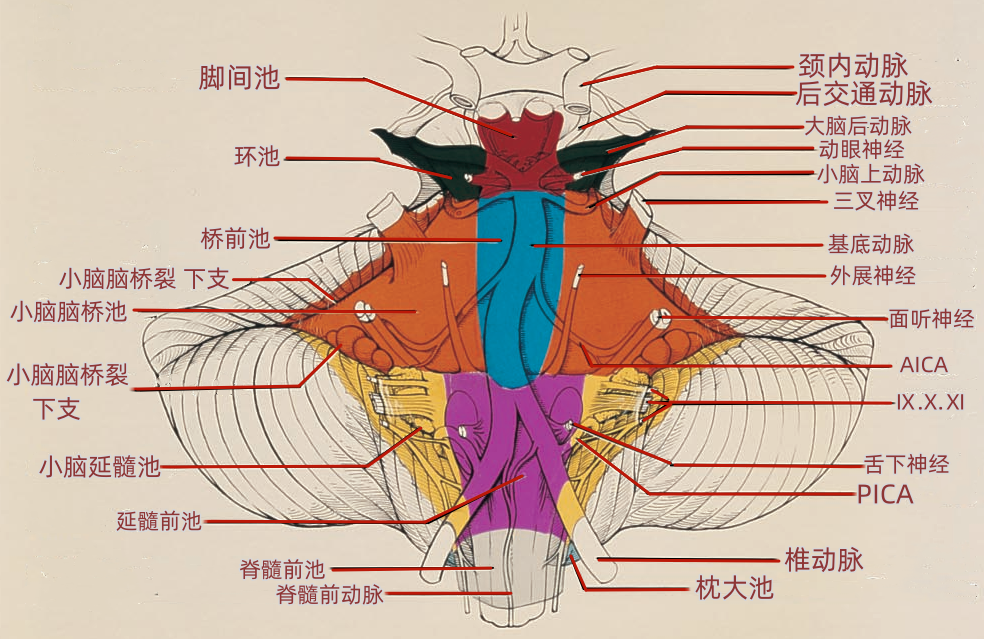 3d5b29bfbf1161b1e2df943408d6f0ae.png