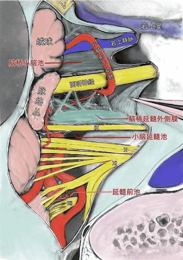 88983b593b80a0c9347eee1c729b93d9.gif