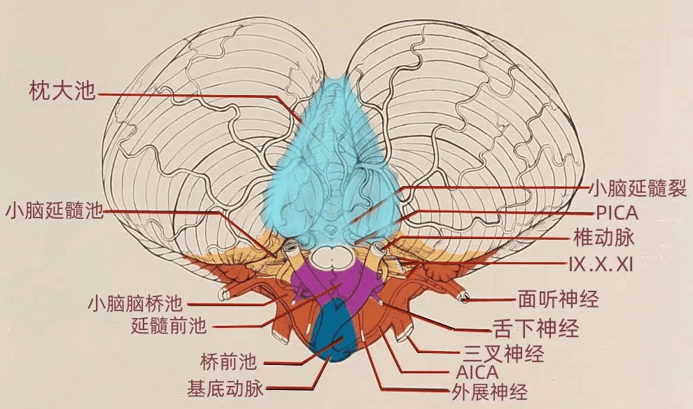 63509b8a830e3bc367b7eb0ac0e84001.gif