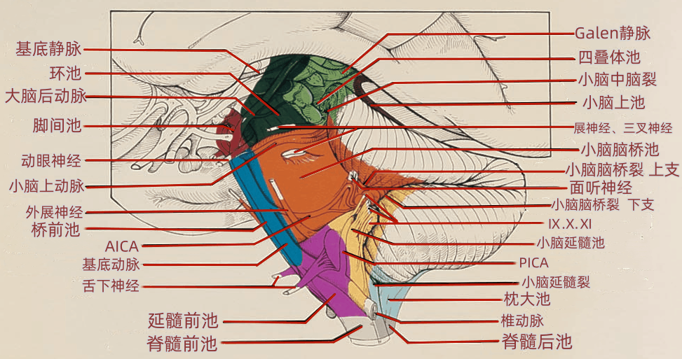 220d6bb0e487d910da4eab51f6561434.gif