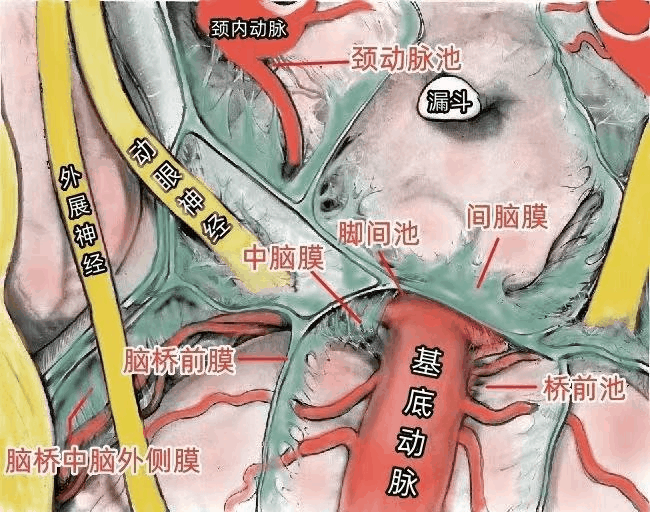 d7ab8c7e77885379850975c3fd38bf32.gif