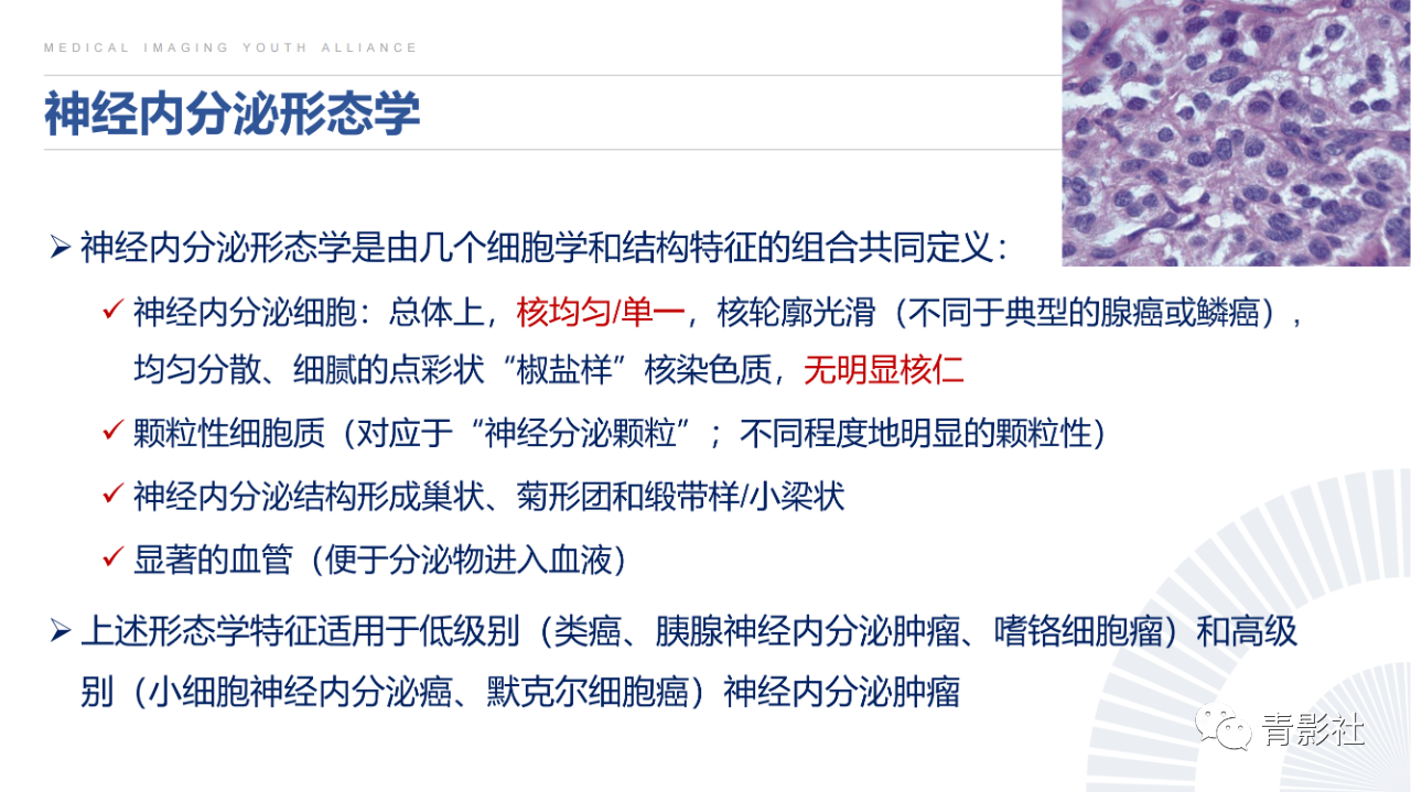 c9a047d932dcb3bf76743fa7de81a102.png