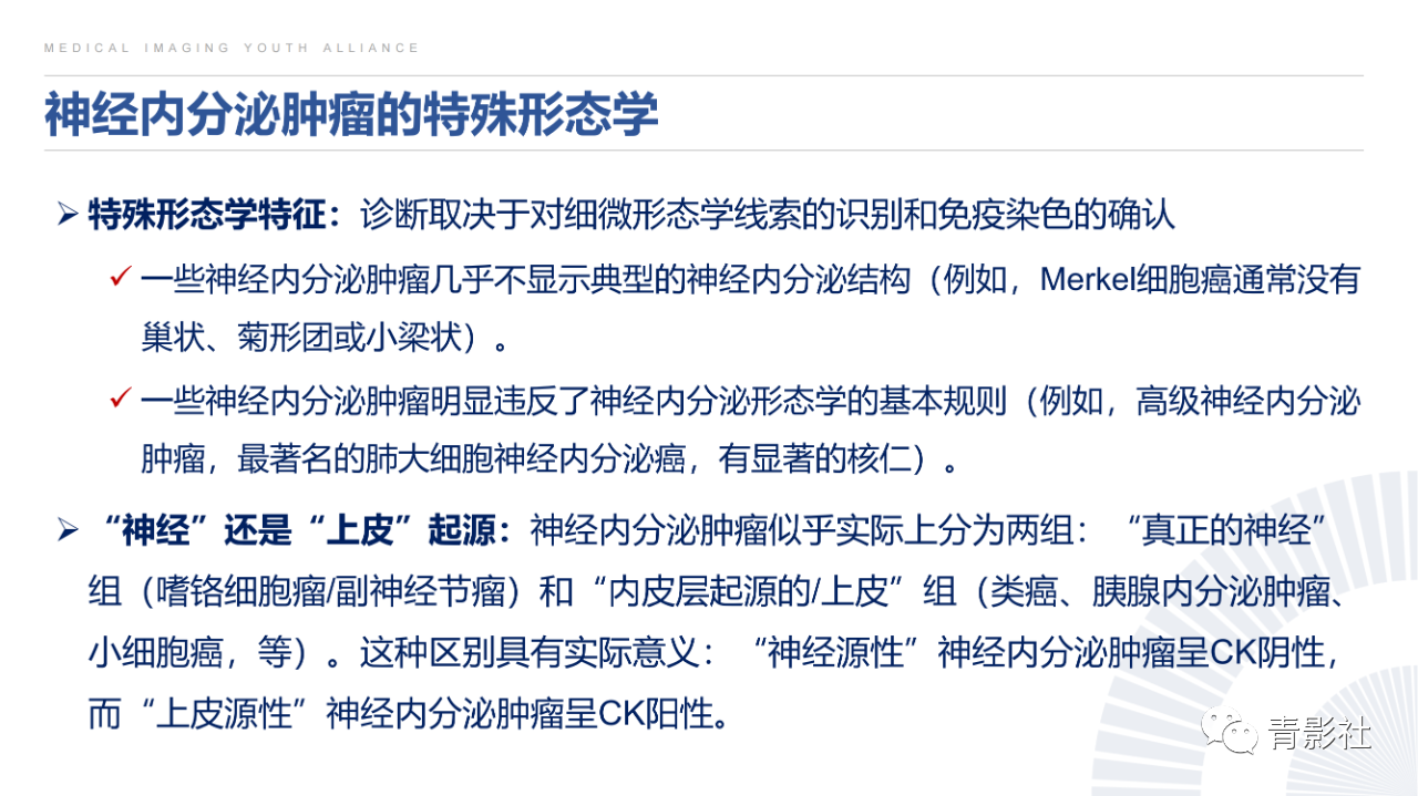 73ff573537b9c31c51c9116e22460f59.png