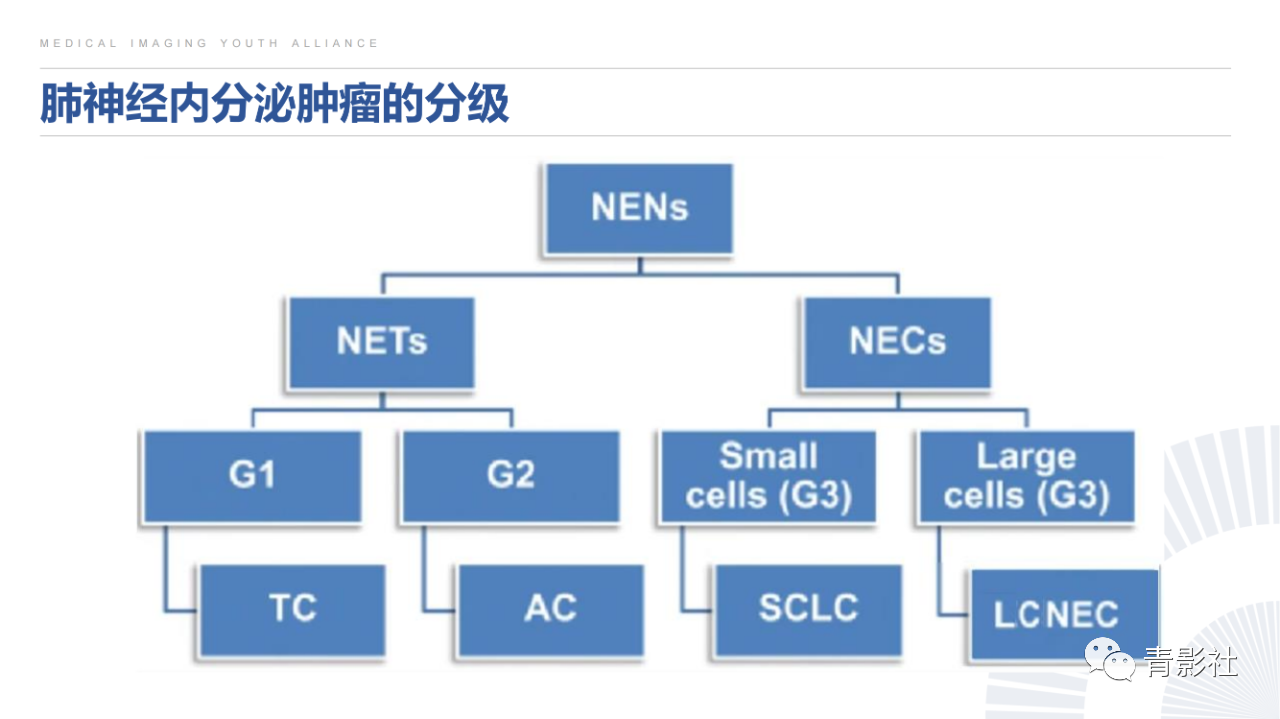 242f1ddba950dff572e416f1414fa460.png