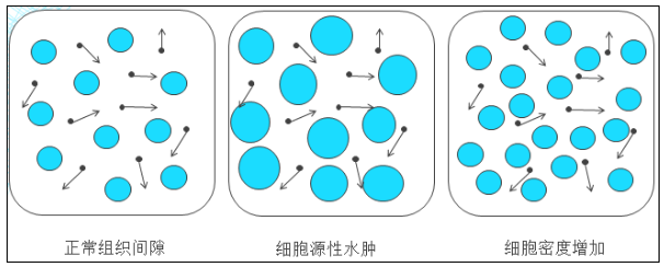 aed79df1-b846-4906-92c7-28f58f72accb.png