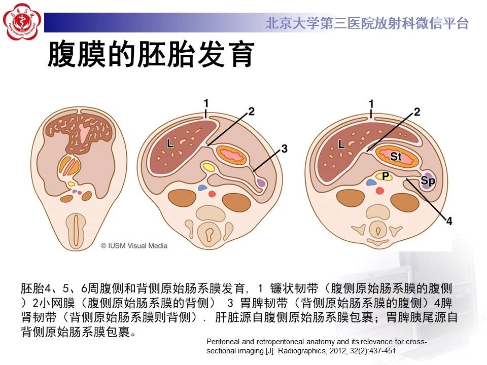 0a3381a045b3e121aefb4d140adcf52d.jpg