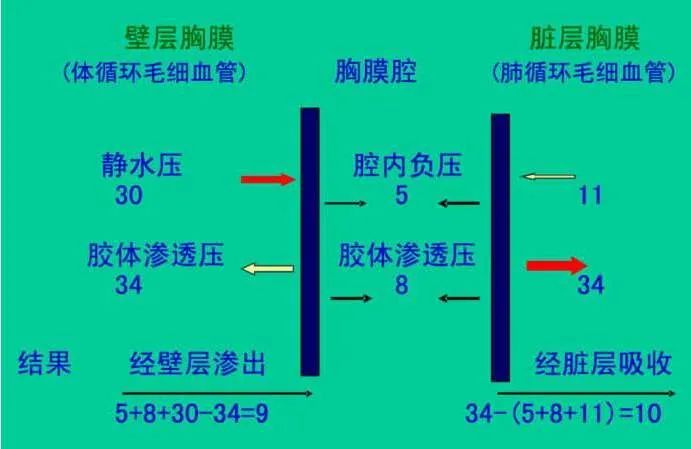 qw3.jpg