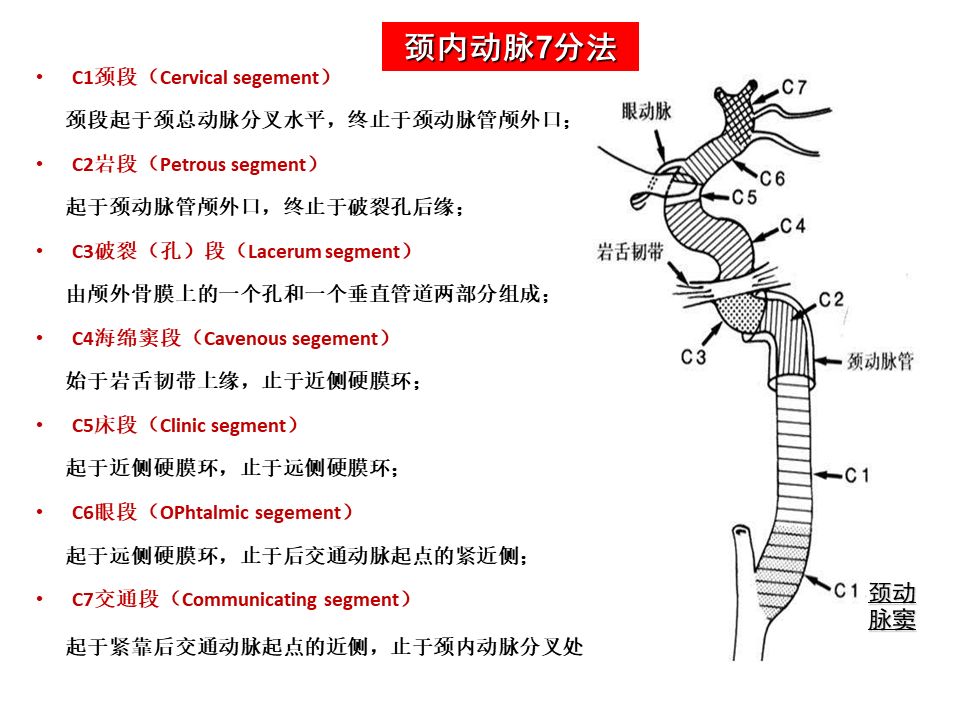 qw6.jpg