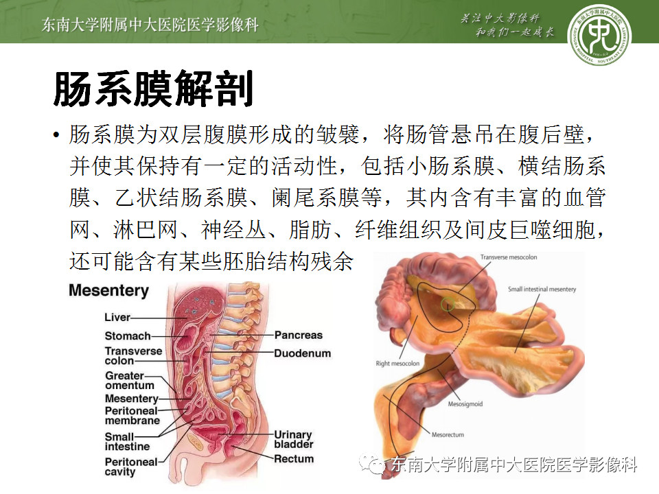 d3ecfdd1c52861d02ae0f9bcc93b1cf1.jpg