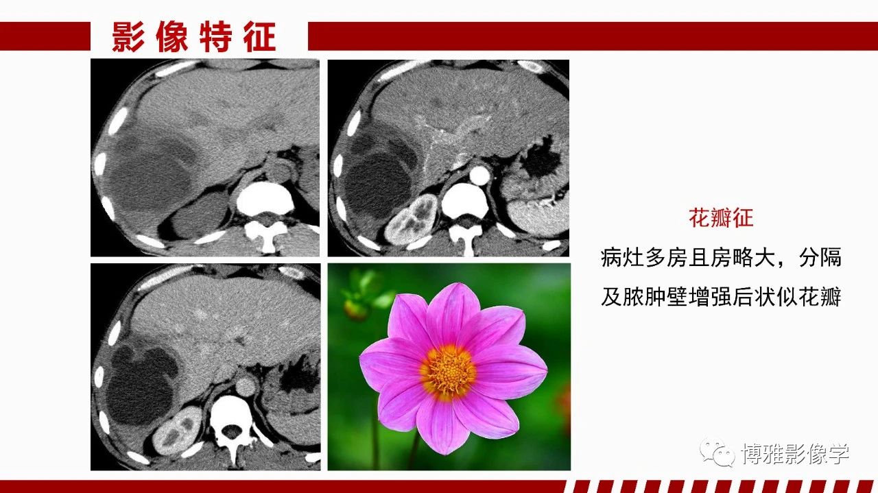 5b141c85956ef4861f86cc02e6e7736b.jpg