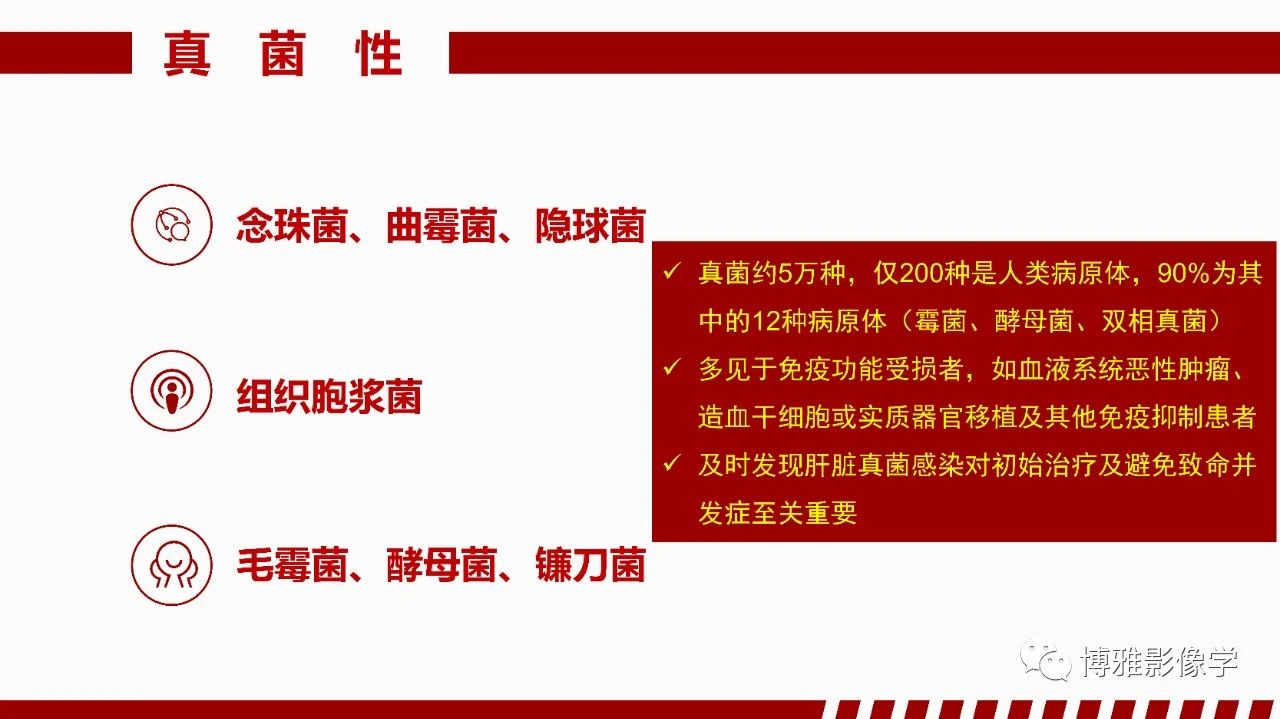 ef2acb7c793a60a5d8b05e171da1c9a5.jpg