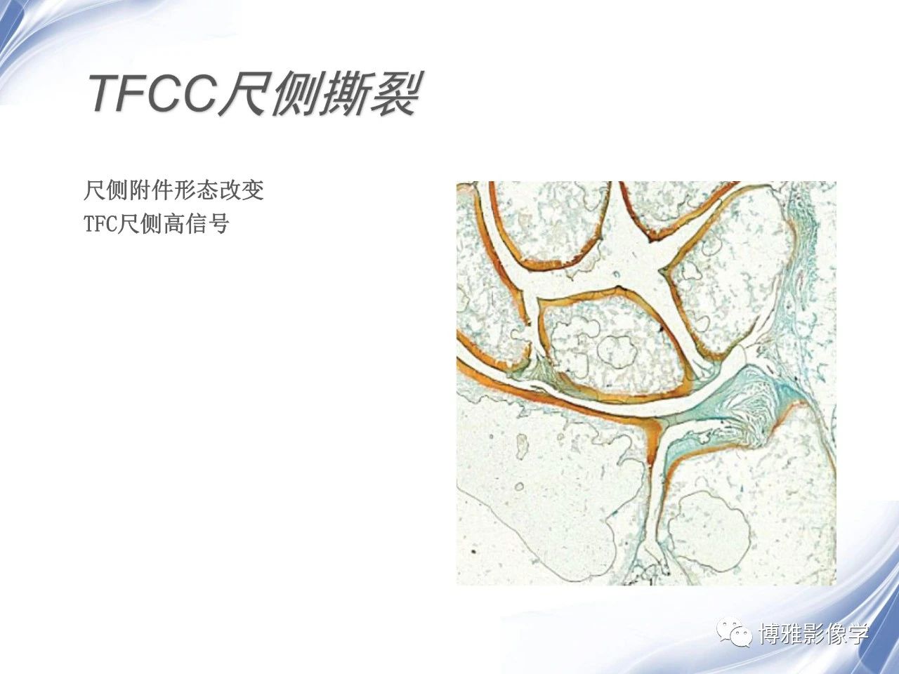 d45caaa374b97b9934fa17c36d621733.jpg