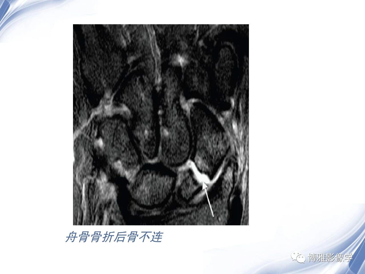 8210ab76c145238aef66b447af8f0b5e.jpg