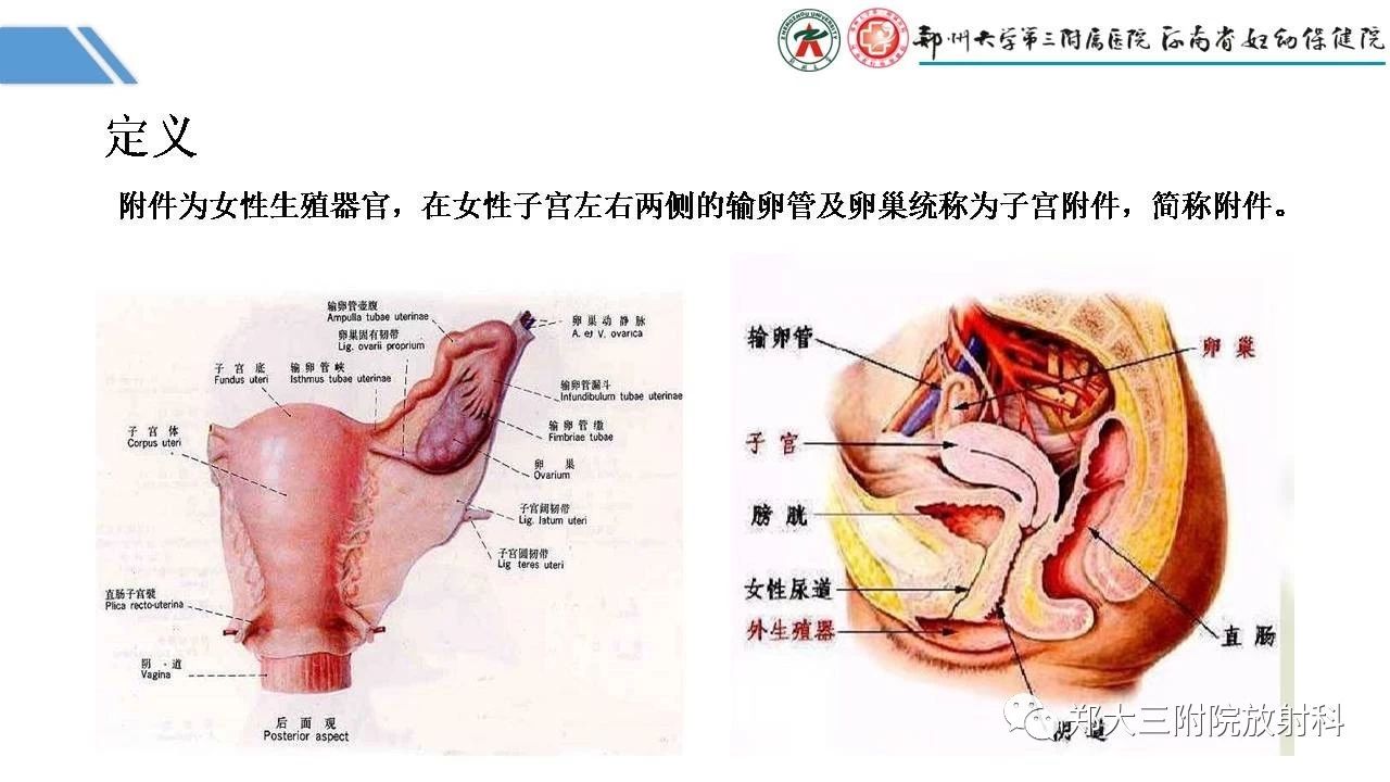 c75f3a3ccfbaa4d485f429c8de91cdcb.jpg