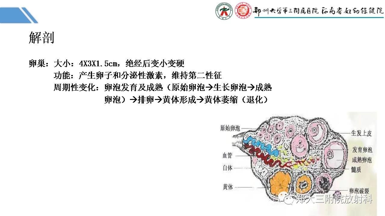244c9ad49a71da273bb135caf82963e3.jpg