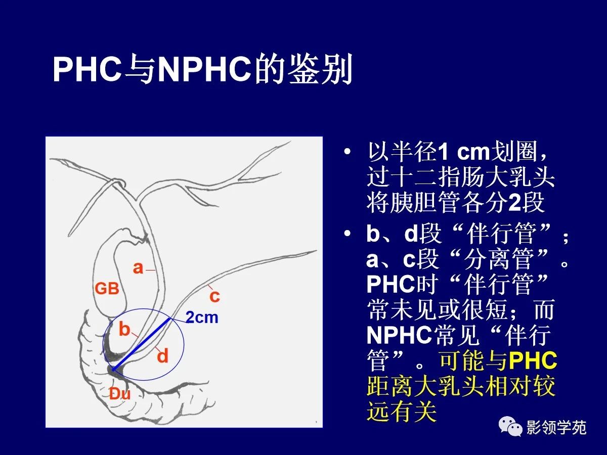 da0737a8dd741027a68afafb9dac688b.jpg