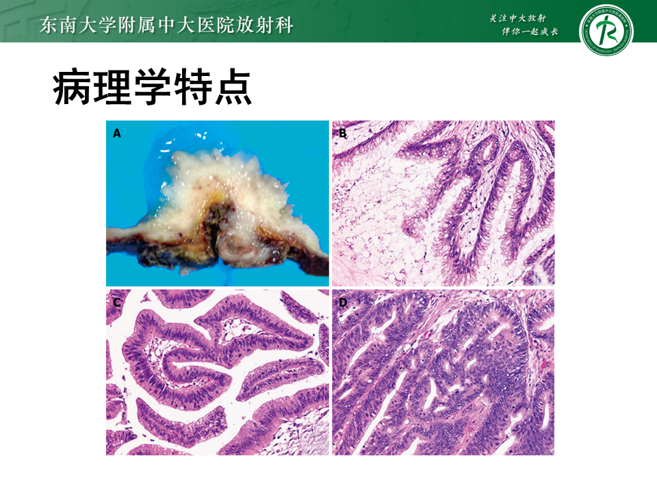 c76072128b0f3e2e375535c02aea6a3d.png