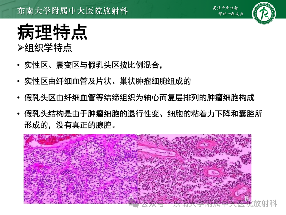 96cc10a036e32907604a56e6d52e83c8.png