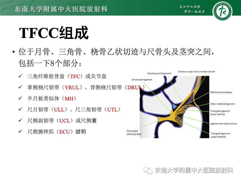 13844da877dccfe43d5fafd869342656.png
