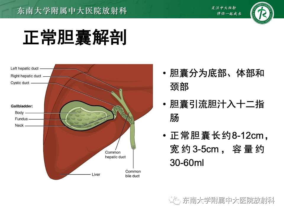 ff367dbae666dfa96ac7ffd312e5650b.png